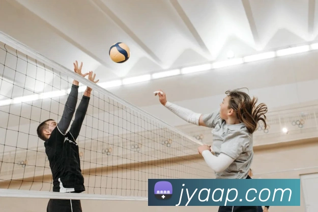 App Interface Preview